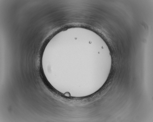 X0000111670016200908141438