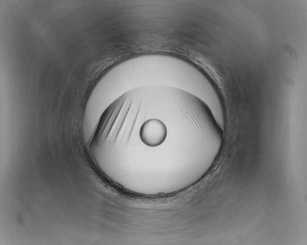 X0000111670017200908141438