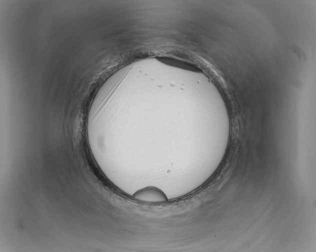 X0000111670018200908141438