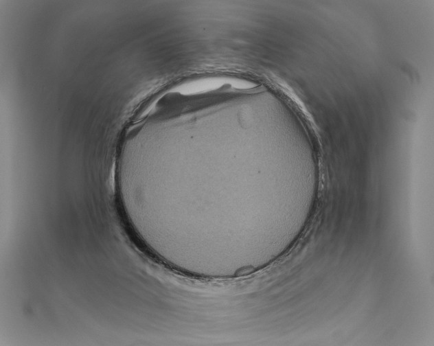 X0000111670019200908141438