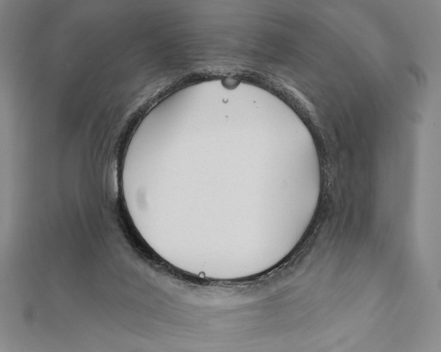 X0000111670020200908141438