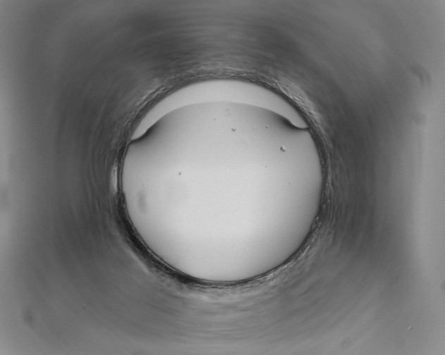 X0000111670021200908141438