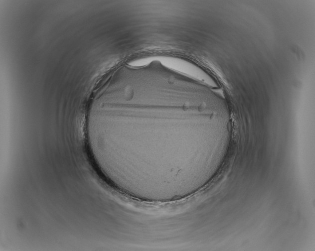 X0000111670023200908141438