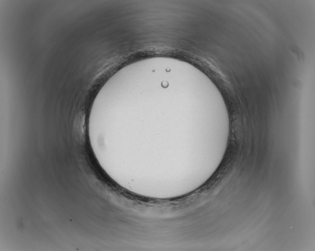 X0000111670024200908141438