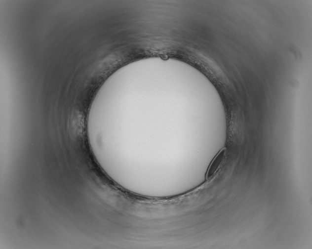 X0000111670025200908141438