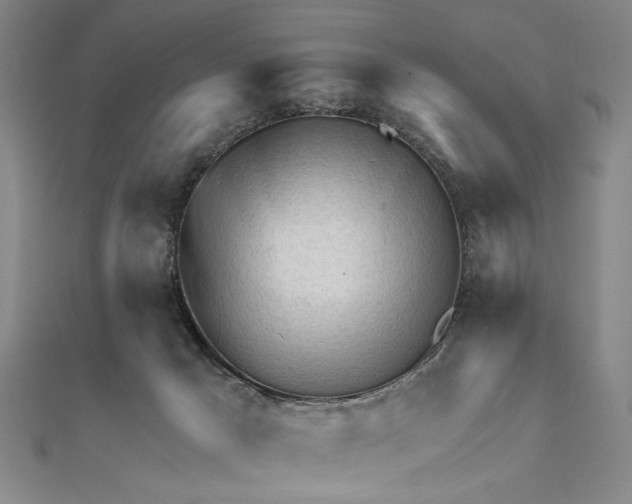 X0000111670029200908141438