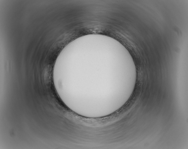 X0000111670030200908141438