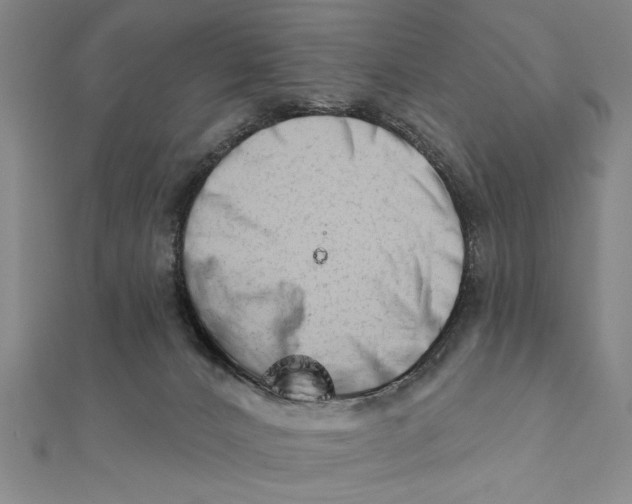 X0000111670032200908141438