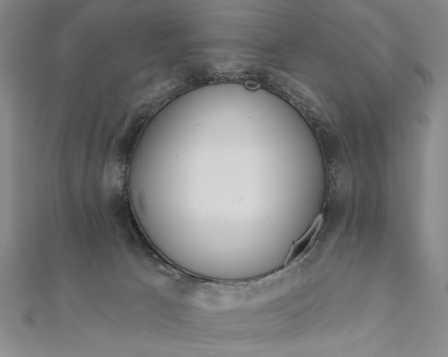 X0000111670033200908141438