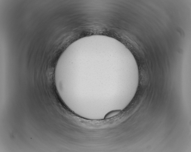 X0000111670034200908141438