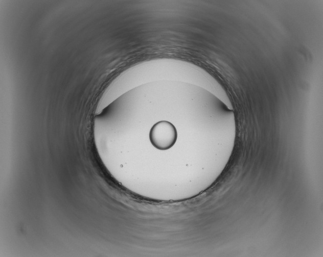 X0000111670036200908141438