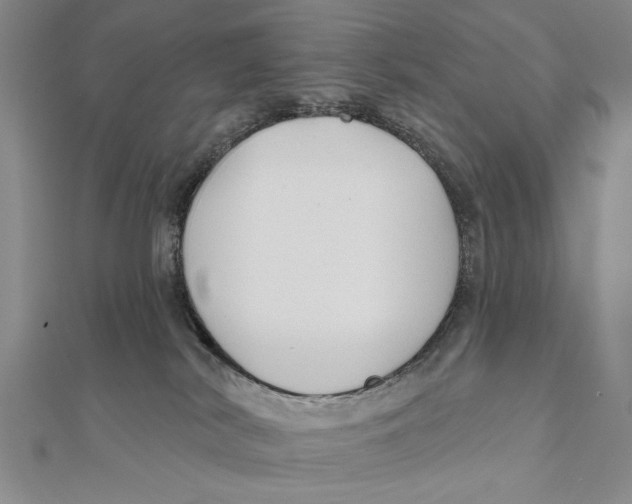 X0000111670038200908141438