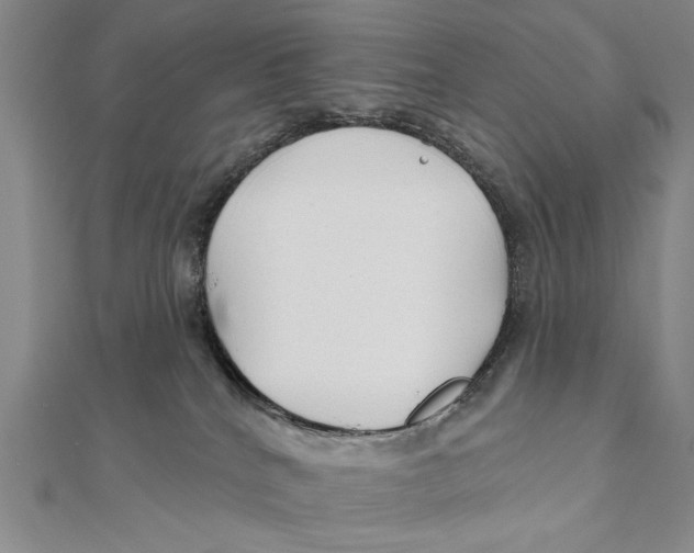 X0000111670040200908141438