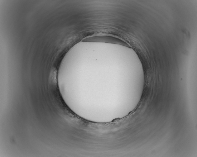 X0000111670041200908141438