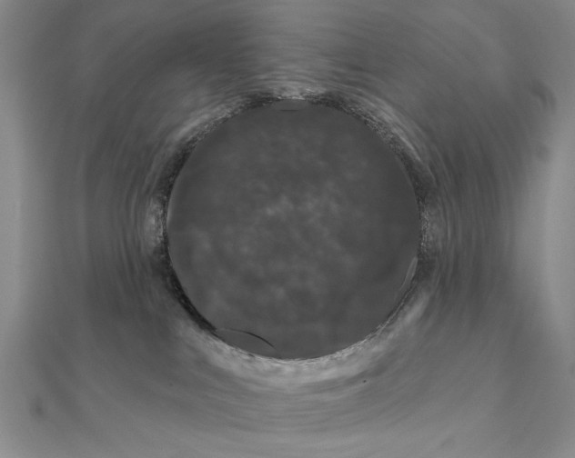 X0000111670043200908141438