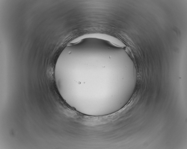 X0000111670045200908141438