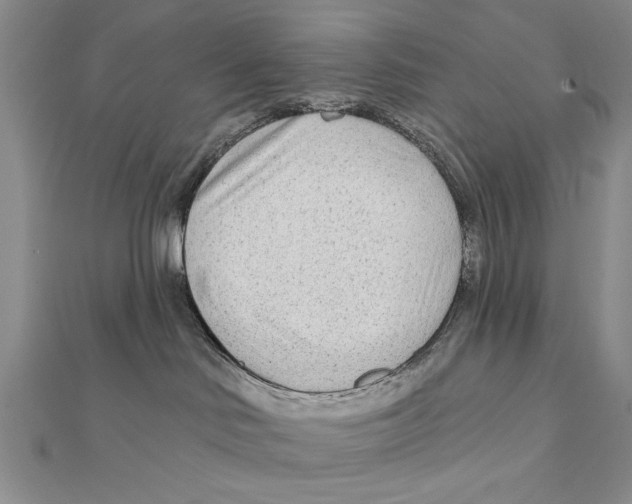 X0000111670046200908141438