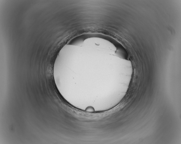 X0000111670048200908141438