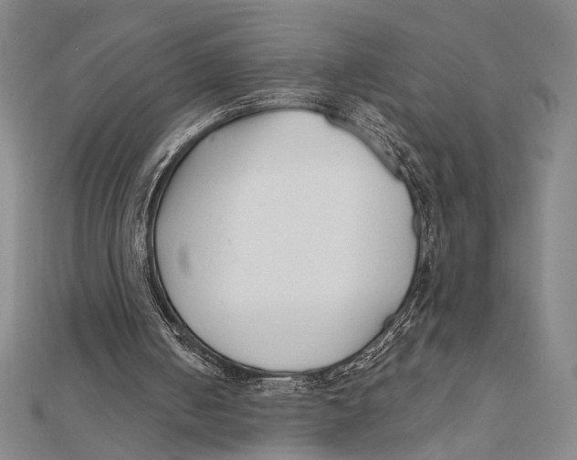 X0000111670050200908141437