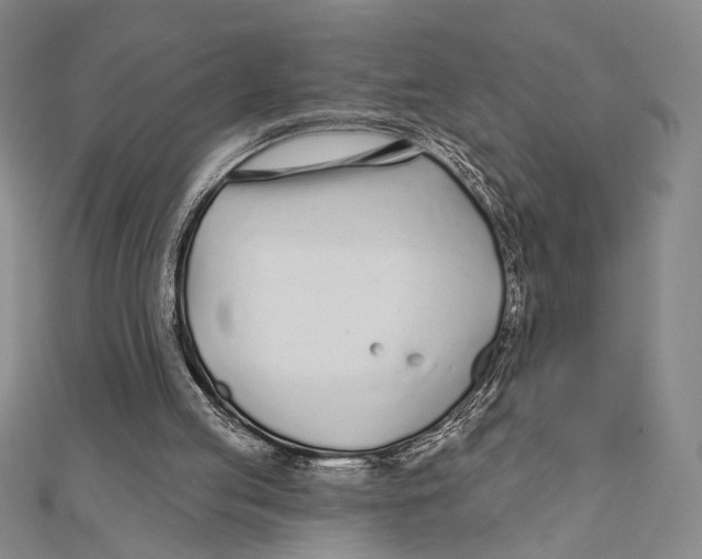 X0000111670053200908141437