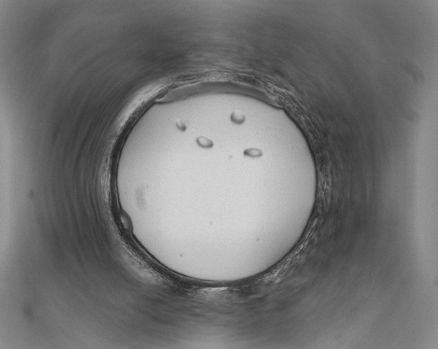 X0000111670054200908141437