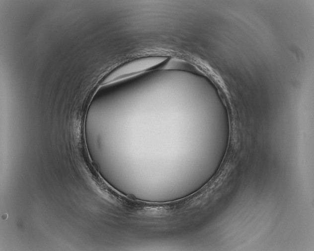 X0000111670057200908141437