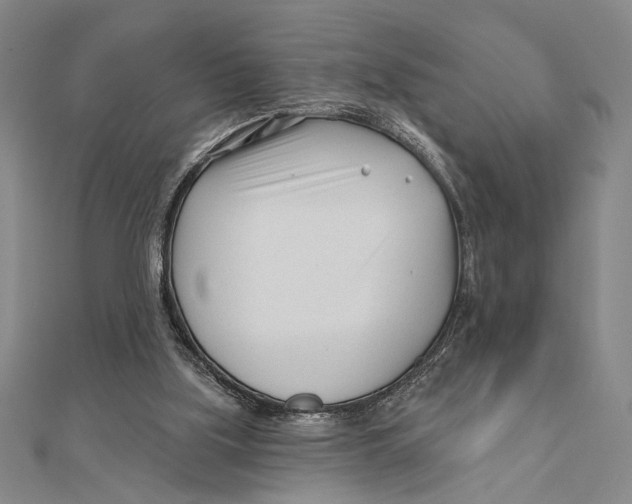 X0000111670059200908141437