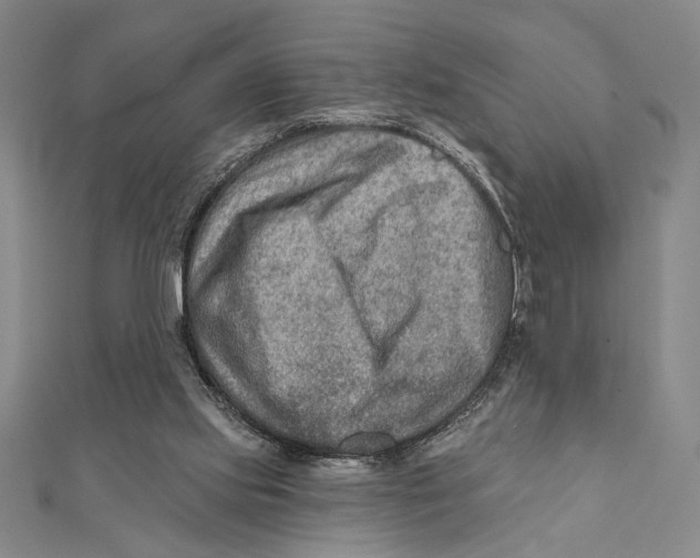 X0000111670061200908141437