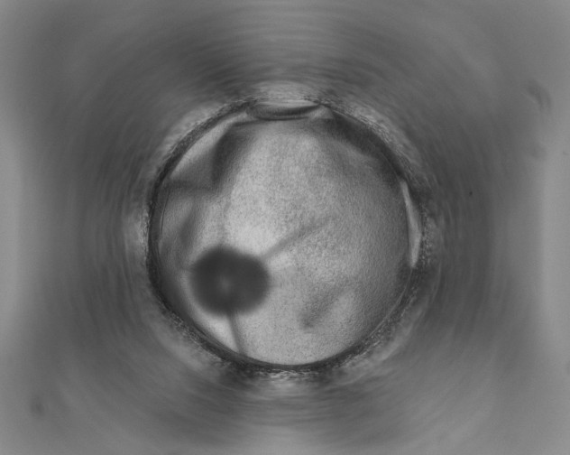 X0000111670064200908141437