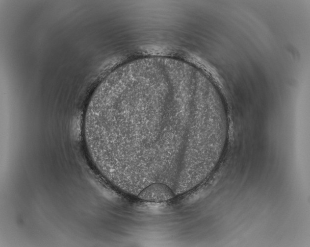 X0000111670065200908141437