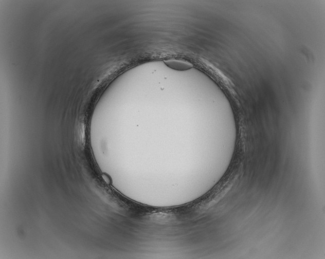 X0000111670067200908141437