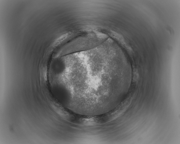 X0000111670068200908141437