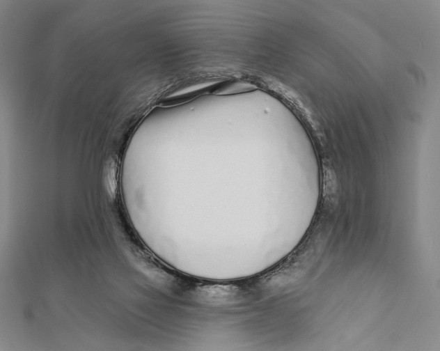 X0000111670069200908141438