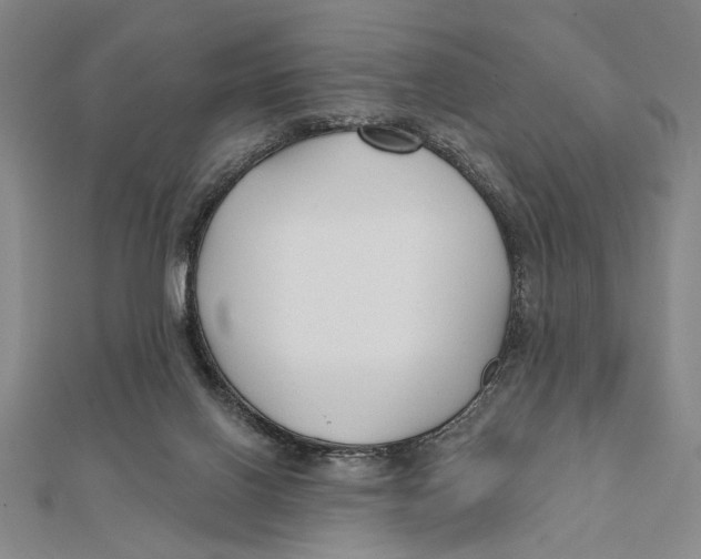 X0000111670070200908141438