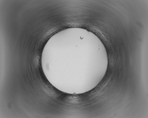 X0000111670071200908141438