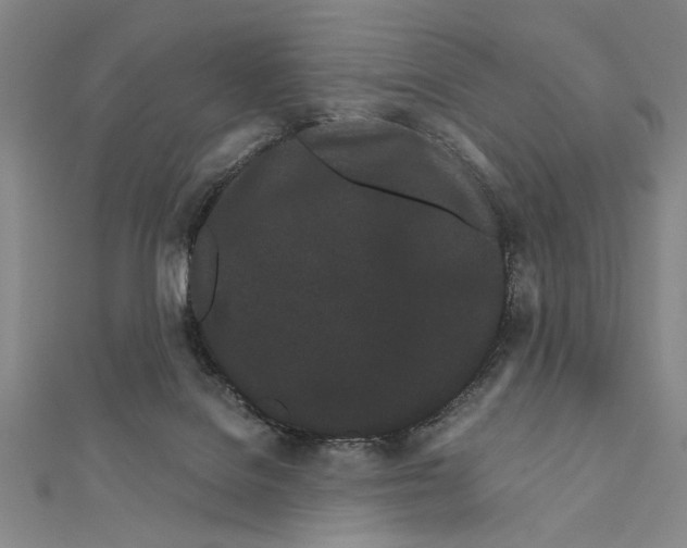 X0000111670076200908141438