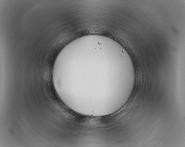 X0000111670078200908141438