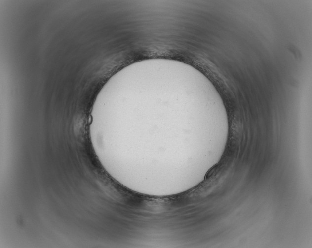 X0000111670079200908141438