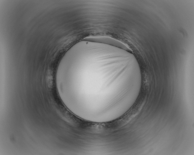 X0000111670080200908141438