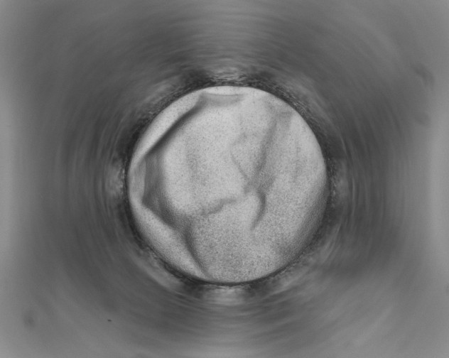 X0000111670081200908141438