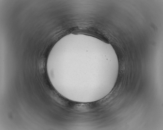 X0000111670082200908141438