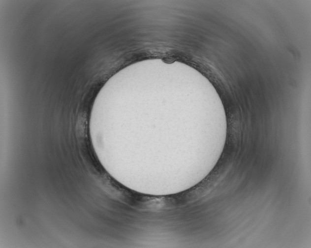 X0000111670083200908141438