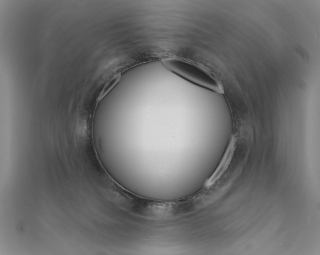 X0000111670084200908141438