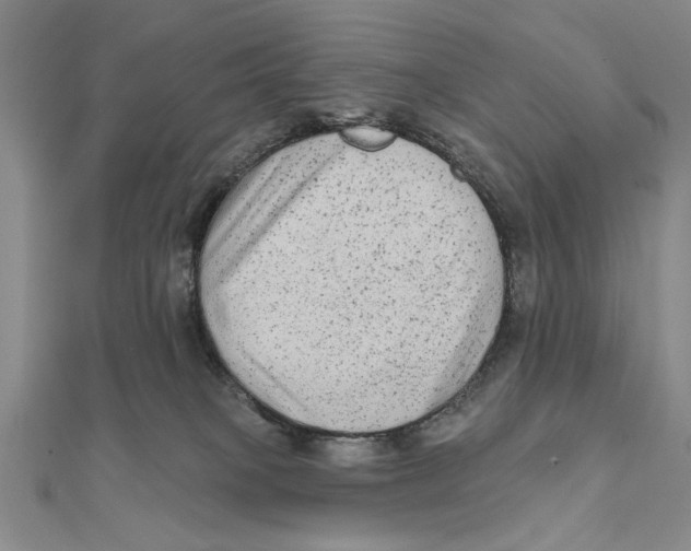 X0000111670085200908141438