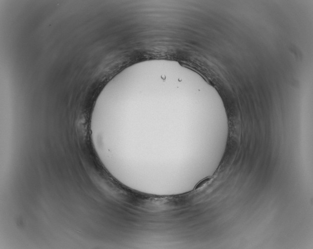 X0000111670086200908141438