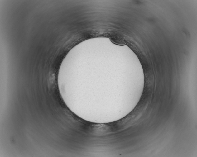 X0000111670087200908141438