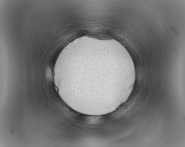 X0000111670089200908141438