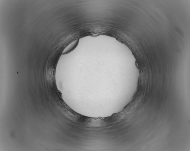 X0000111670093200908141438