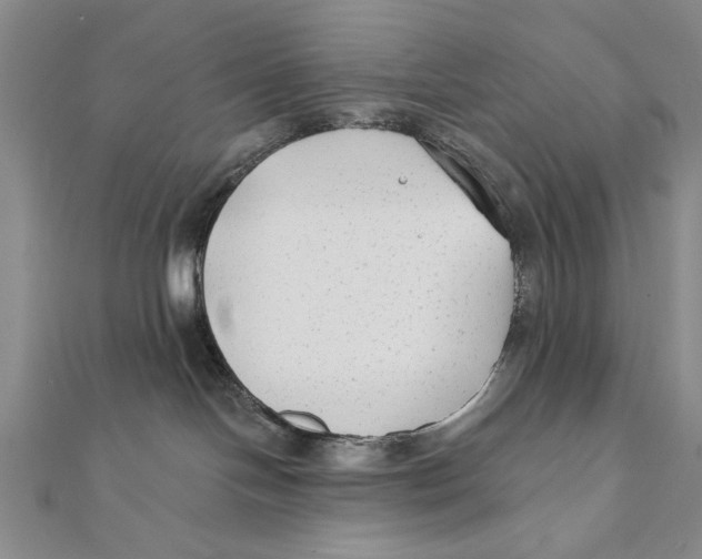 X0000111670094200908141438