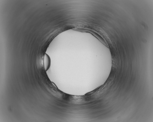 X0000111670095200908141438